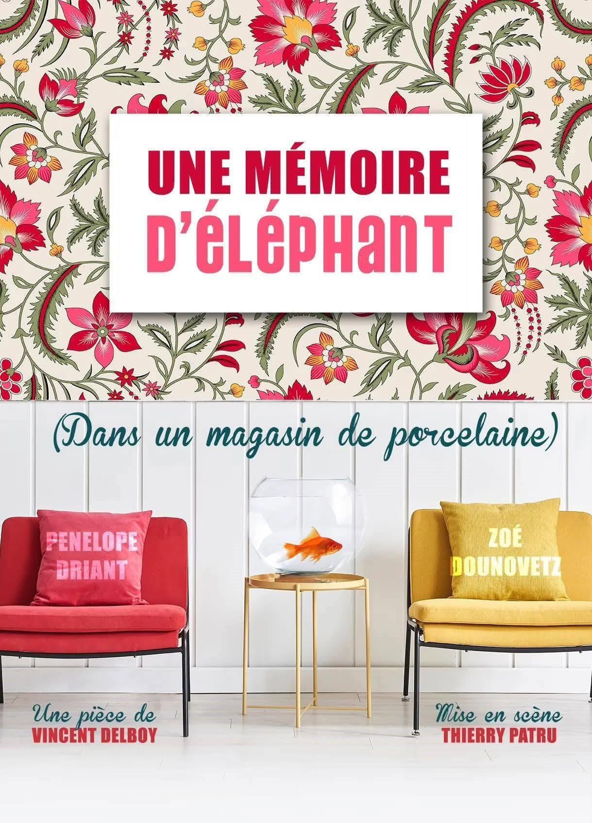 une_memoie_d_elephant_dans_un_magasin_de_porcelaine_comedie_nantes_affiche_1783338661