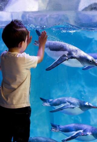 aquarium_sea_life_paris_billets_1753174072