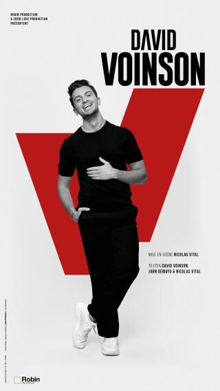 david_voinson_humour_rennes_affiche_1753964701
