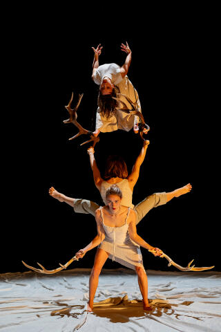 faune_danse_cite_internationale_affiche_1752225795