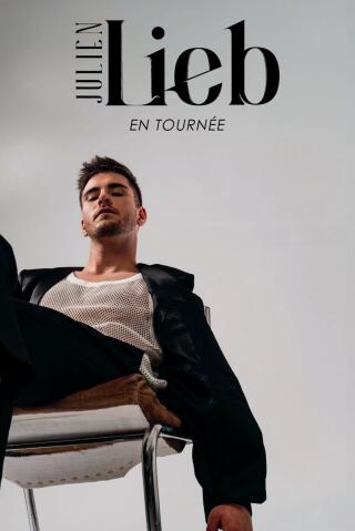 julien_lieb_concert_nantes_affiche_1753967728