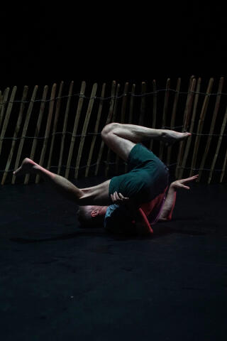 troglodyte_danse_cite_internationale_affiche_1752225602