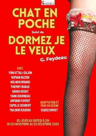 chatenpochedormezjeleveuxfeydeau_theatredenesle_1758099795