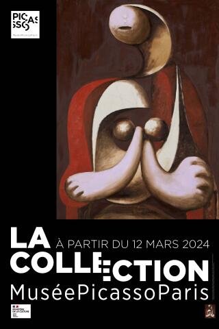 la_collecton_musee_picasso_exposition_billet_affiche_1758532022