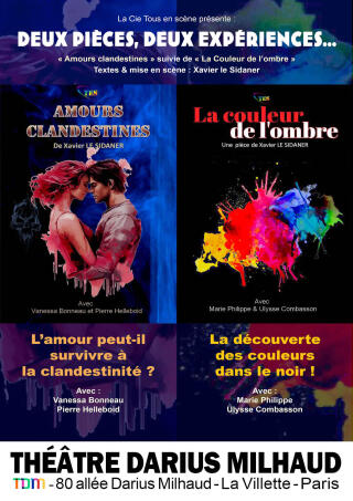 amours_clandestines_et_la_couleur_de_l_ombre_theatre_darius_milhaud_affiche_1770903650