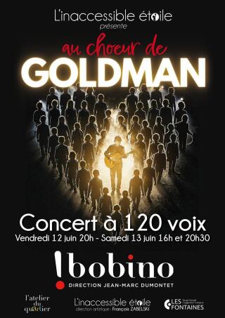 auchoeur_de_goldman_concerta120voix_bobino_1770216121