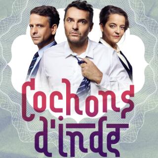 cochons_dinde_toulouse_1775205655