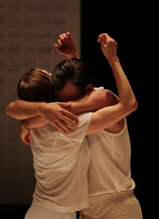 crocodile_danse_arras_affiche_1775561986