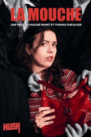 la_mouche_theatre_avignon_off_affiche_1777017972