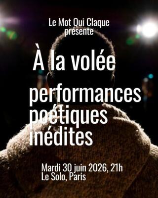 a_la_volee_le_mot_qui_claque_theatre_solo_affiche_1778832561