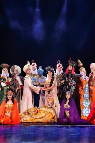 aladdin_cirque_taverny_affiche_1783072438_1783072447