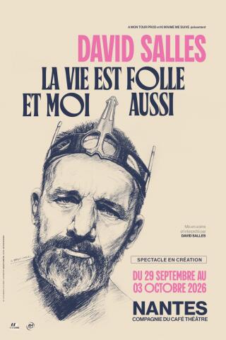 david_salles_la_vie_est_folle_et_moi_aussi_humour_nantes_affiche_1784724593