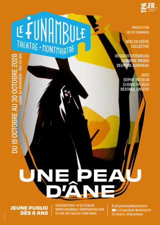 une_peau_d_ane_spectcale_pour_enfants_affiche_1784733888