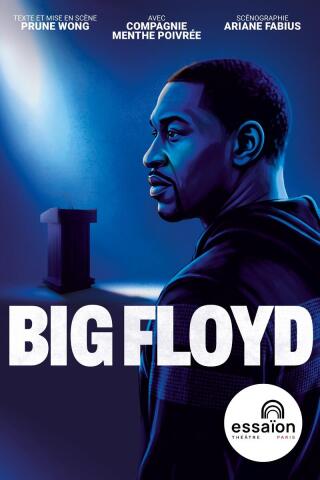 big_floyd_theatre_essaion_affiche_1790769938