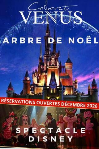 cabaret_la_venus_arbre_de_noel_toulouse_affiche_1790780953