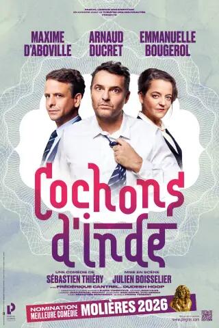 cochonsdinde_albi_1789632780