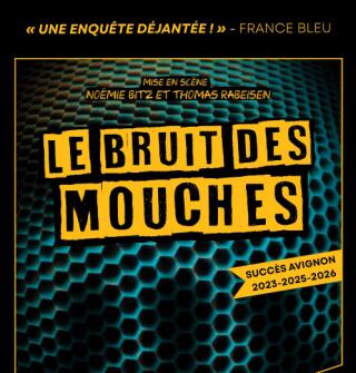 le_bruit_des_mouches_le_zygo_vannes_1790159741
