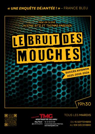 le_bruit_des_mouches_theatre_montmartre_galabru_1789571066