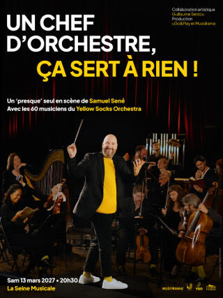 un_chef_d_orchestre_ca_sert_a_rien_concert_seine_musicale_affiche_1790338431