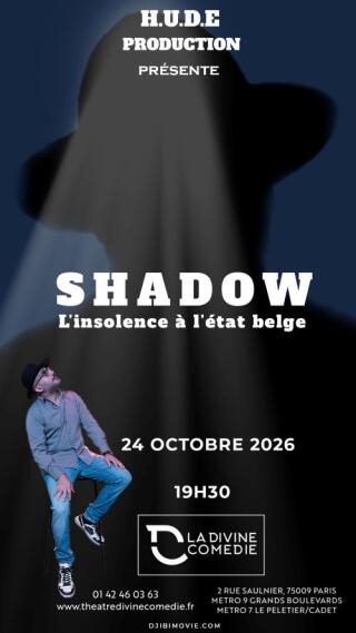 shadow_divine_comedy_1791816459